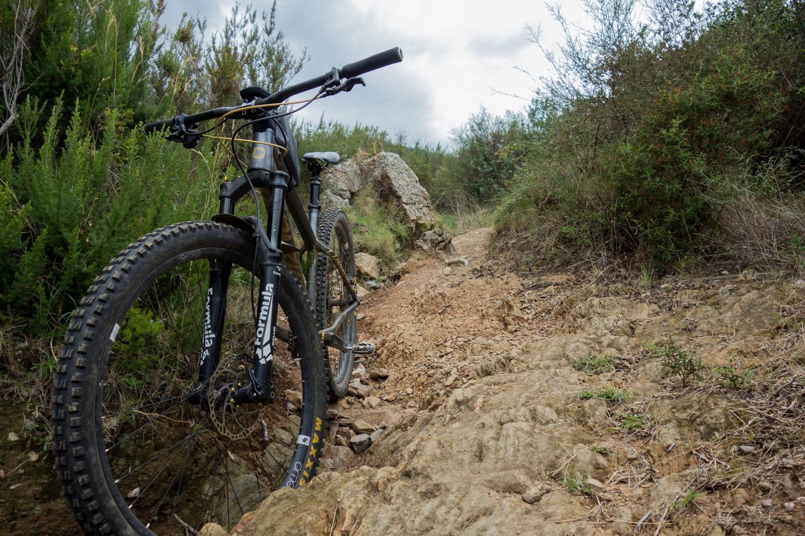 roue et pneu vtt en bikepacking