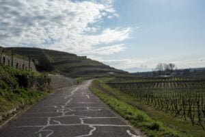 Parcours bikepacking dans les Vosges du Sud 3 bikepacking dans les vosges