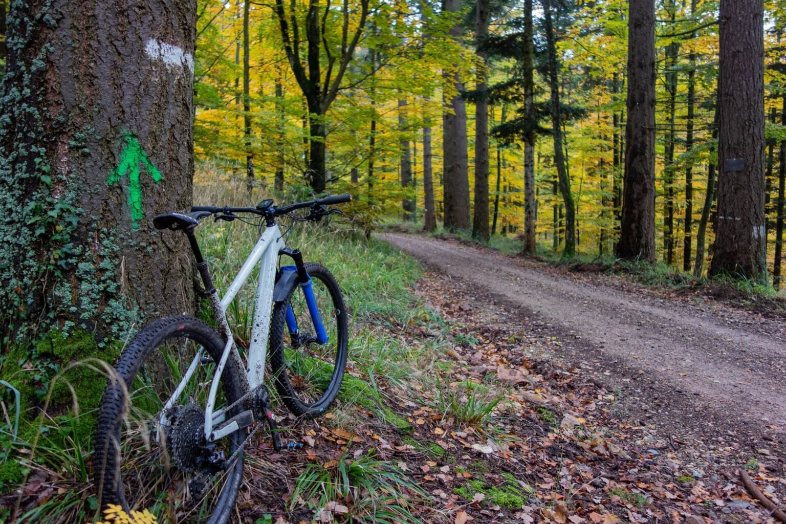 Les meilleurs gravel bikepacking en 2024 Guide d'achat