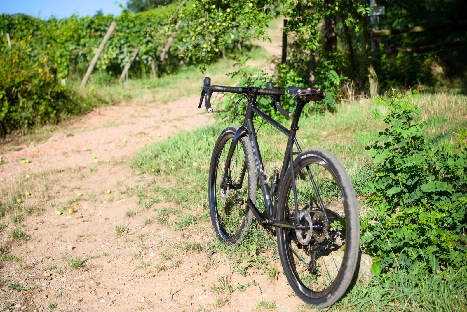 selle berthoud aspin sur un gravel