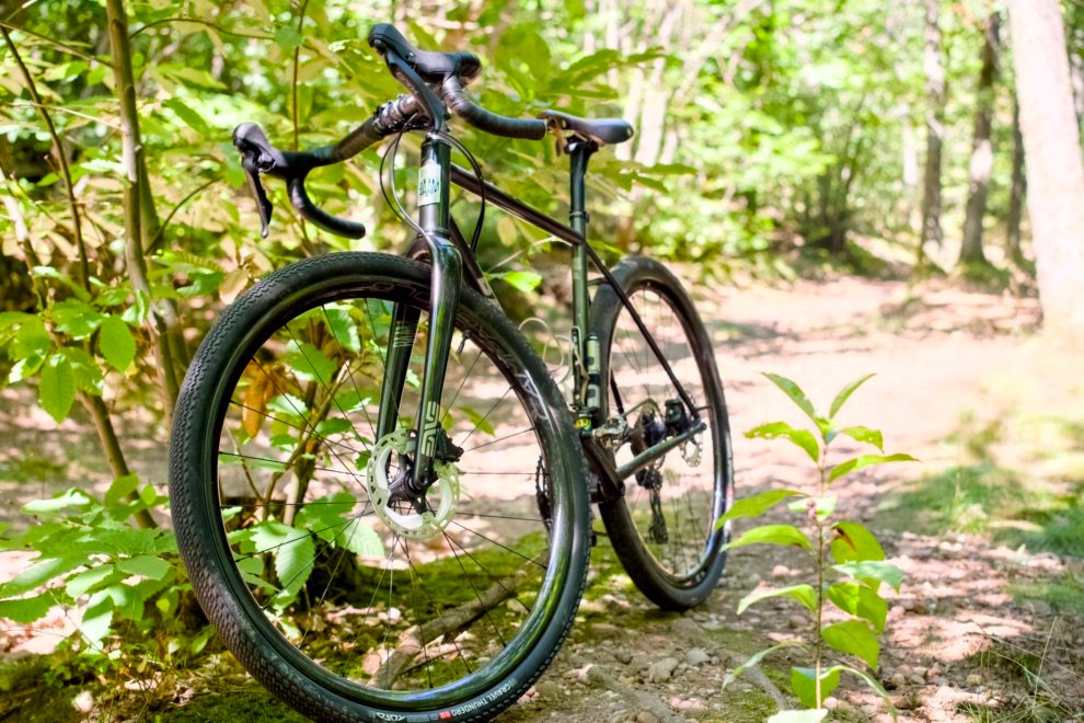 Quel gravel pour bikepacking ? 6 Vélo gravel sur un chemin en forêt