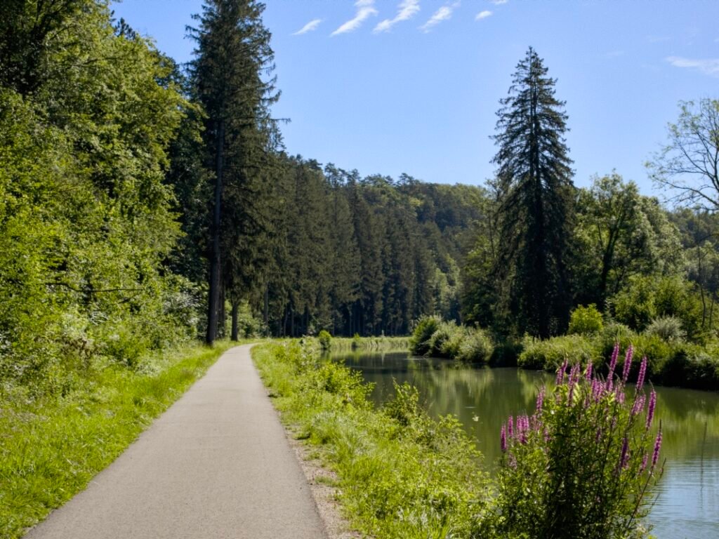 Comment récupérer après une journée de bikepacking 11 piste cyclable long canal dans la foret