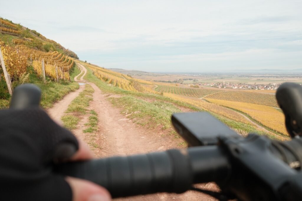 Vue depuis le guidon d’un vélo équipé du Wahoo ELEMNT Roam v3 sur un chemin à travers les vignes, illustrant la liberté et le plaisir de rouler avec un compteur fiable et complet.