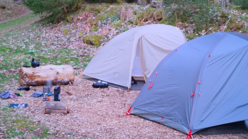 Bivouac en forêt avec tentes installées en pleine nature lors d’un voyage en bikepacking