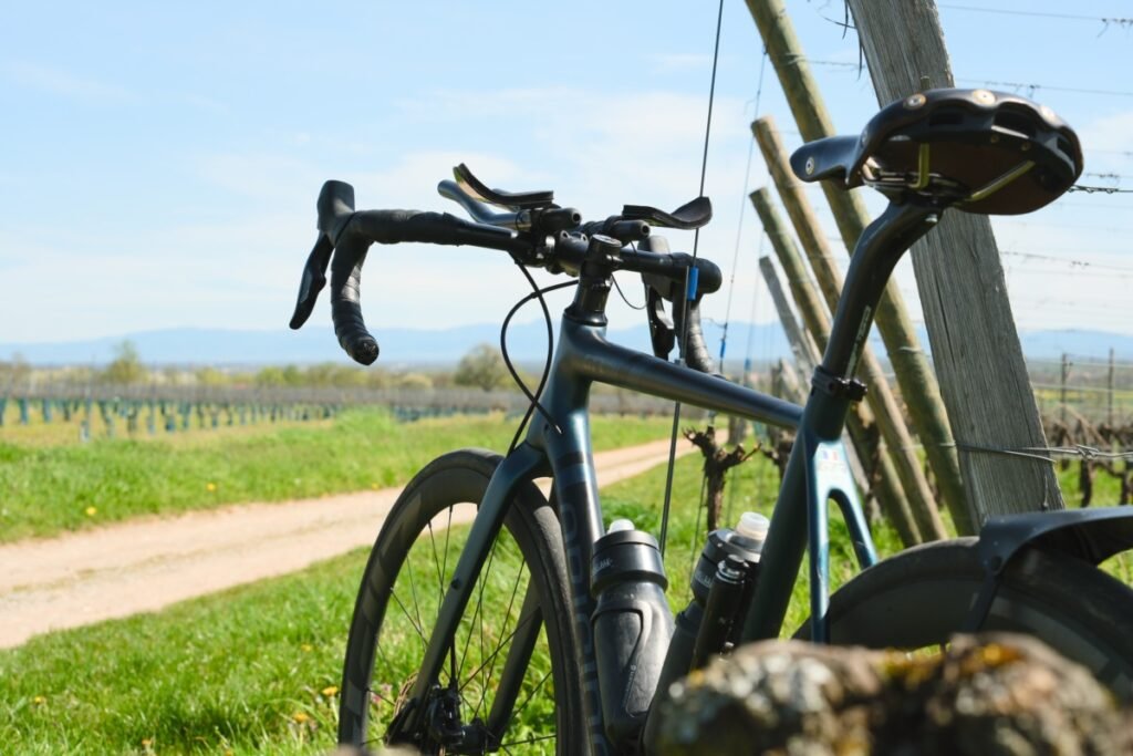 Prolongateur vélo : le guide complet pour bien choisir 7 Vélo équipé de prolongateurs appuyé contre un piquet de vigne face aux vignobles d'Alsace