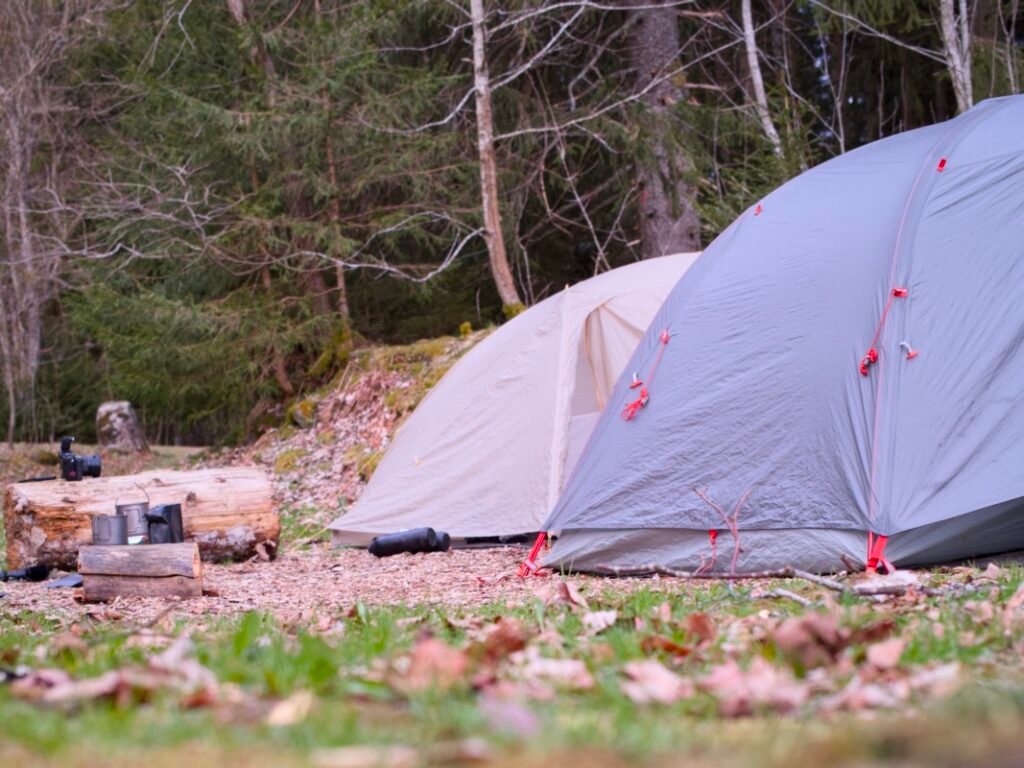 Traversée de la Forêt-Noire en gravel : 544 km en 5 jours, du pneu éclaté à la tente gelée 6 Deux tentes montées côte à côte sur un sol couvert d'écorce dans un Trekking-Camp de la Forêt-Noire, avec un réchaud et un appareil photo posés sur un rondin